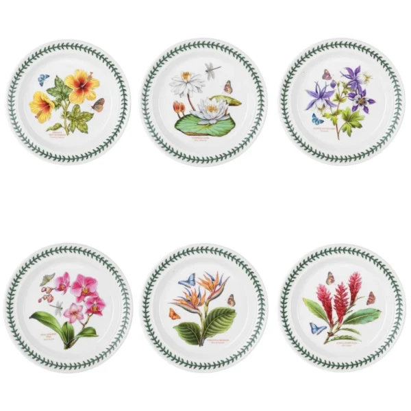 BOTANİC GARDEN EXOTİC 27 CM 6 LI