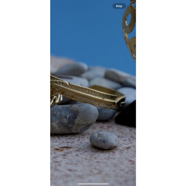 Wild Bracelet